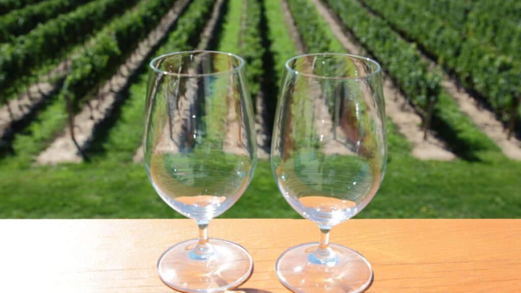 What to Expect on Your First Wine Shuttle Excursion in Santa Barbara?