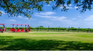 Why Wine Shuttles Make for Great Romantic Getaways?