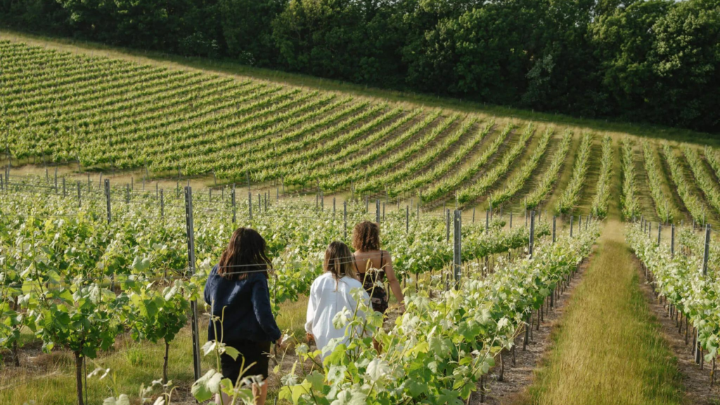 How to Find the Best Santa Ynez Wine Tours?